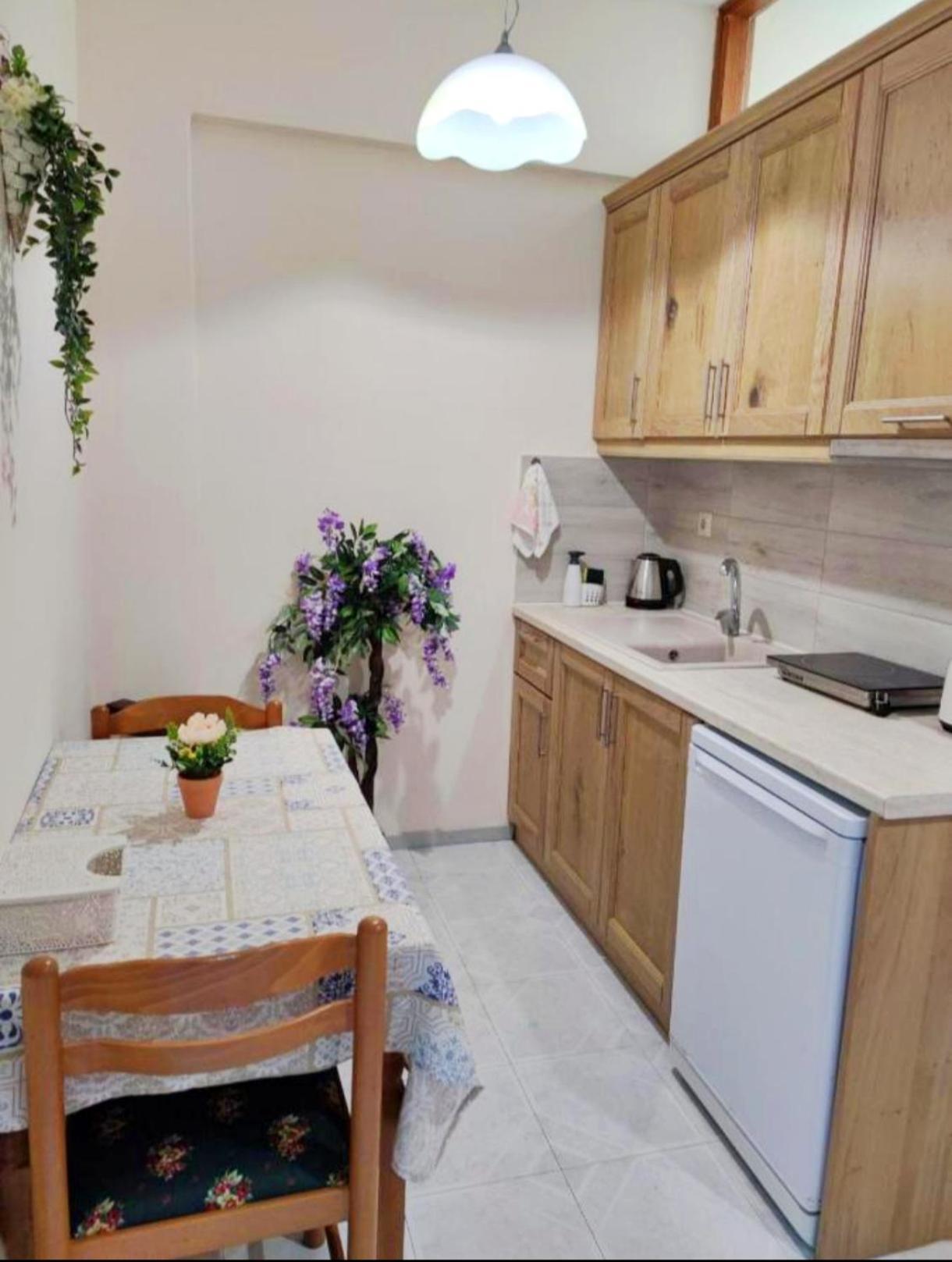 Borianoula Apartments Frý المظهر الخارجي الصورة